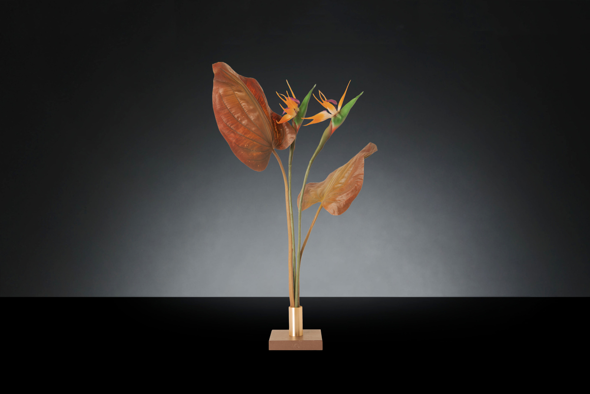 1700221627-1142936.37 BROWN BIRD OF PARADISE_2LOW